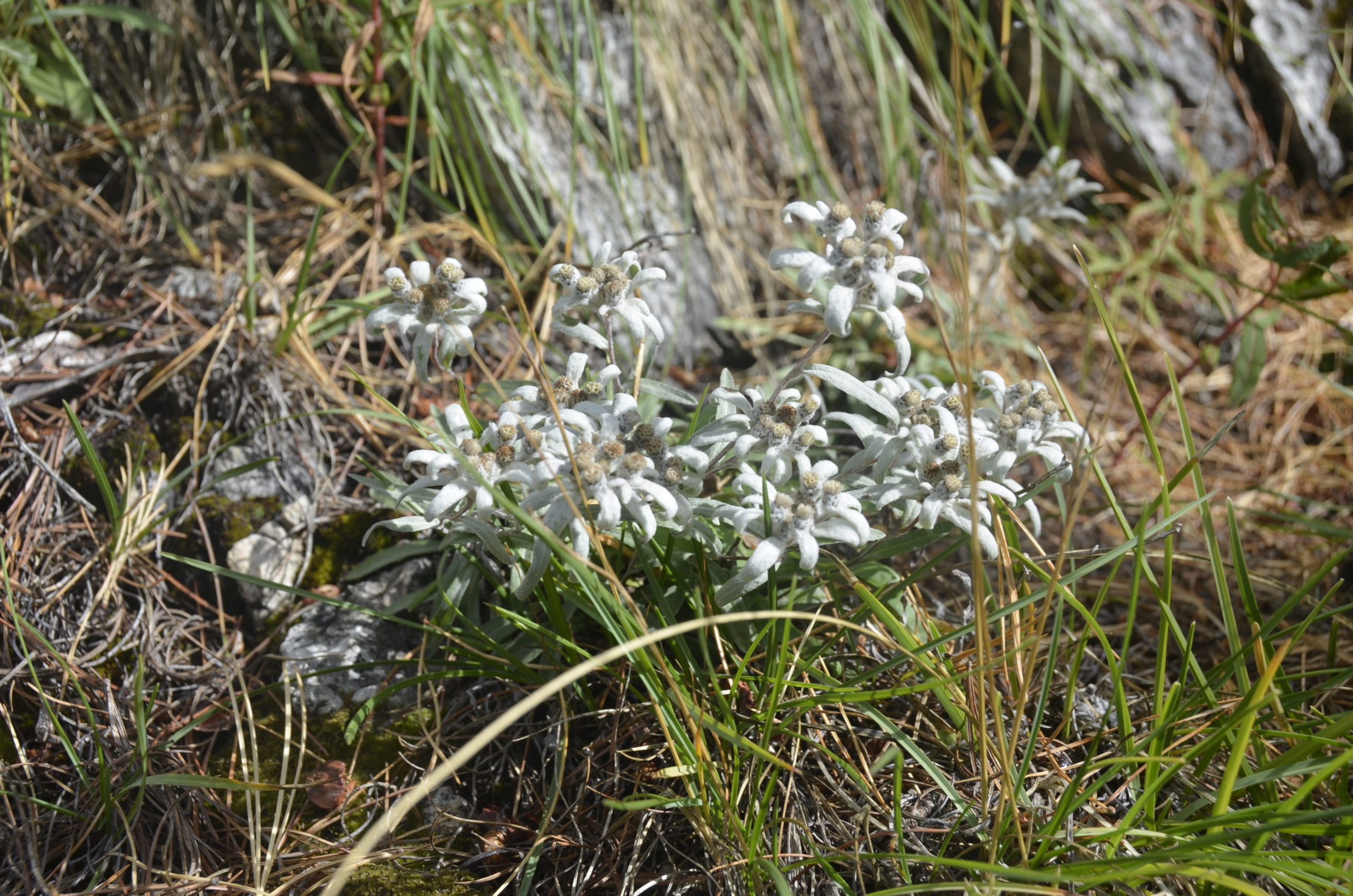 La natura incontaminata